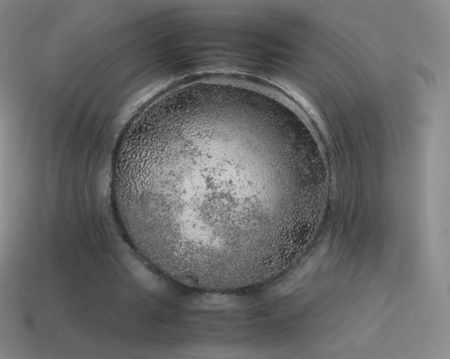 X0000115580437200911101151