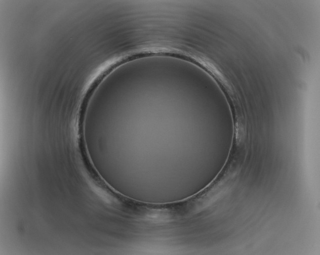 X0000115580438200911101151