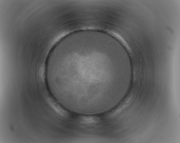 X0000115580439200911101151