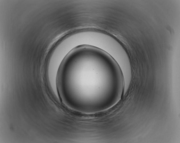 X0000115580440200911101151