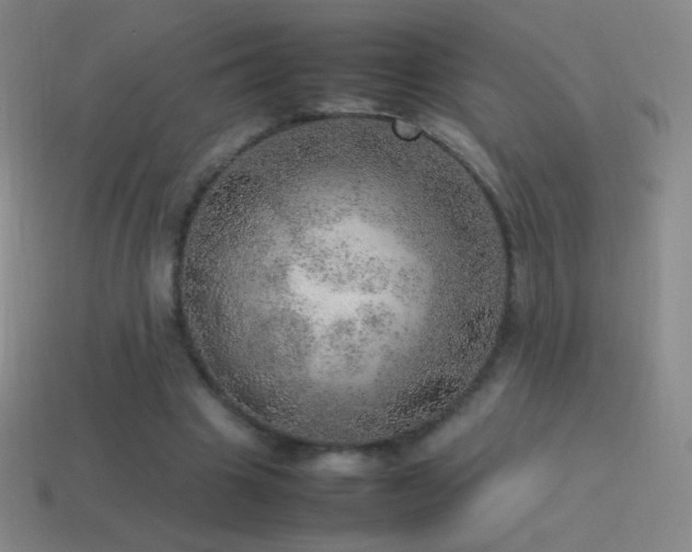 X0000115580441200911101151