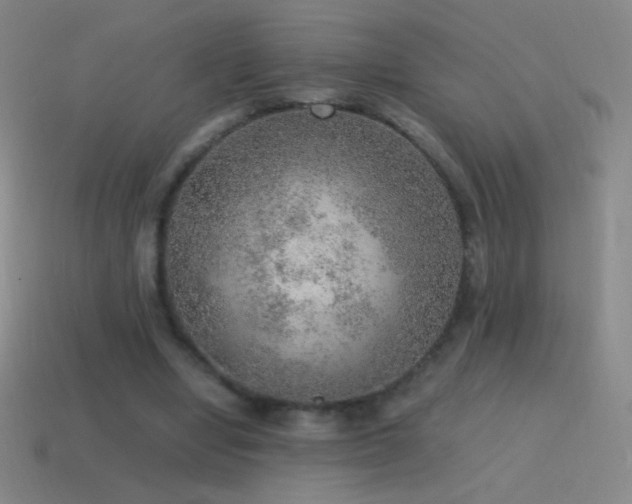 X0000115580442200911101151