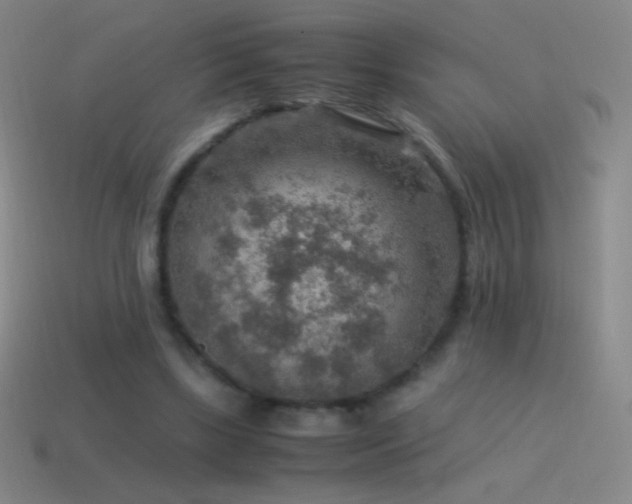 X0000115580443200911101151