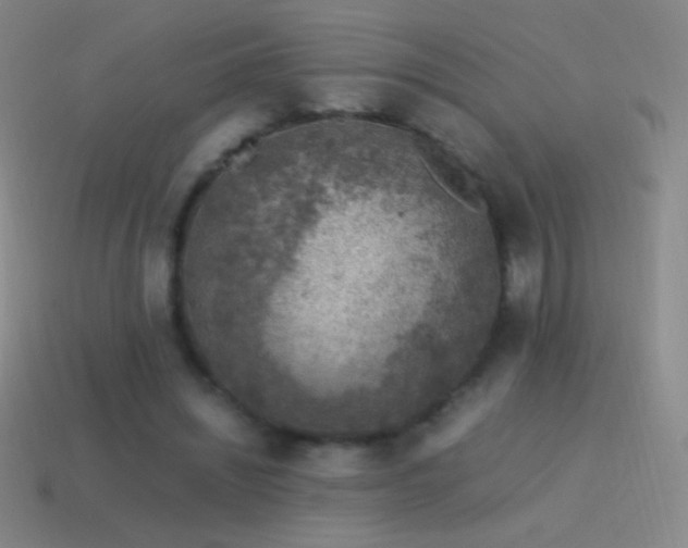 X0000115580444200911101151