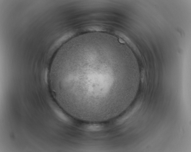 X0000115580445200911101151