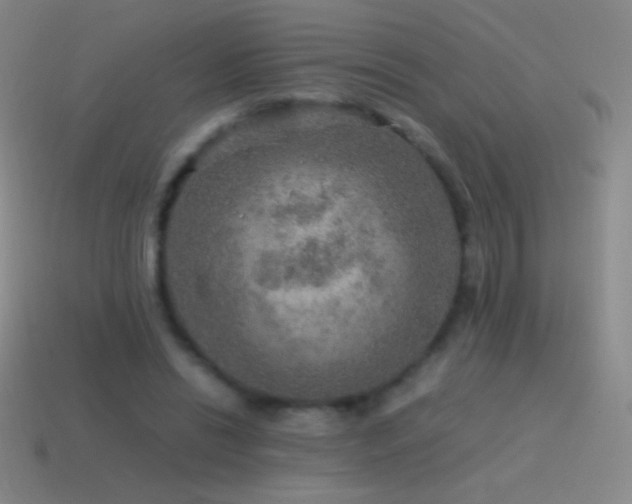 X0000115580446200911101151