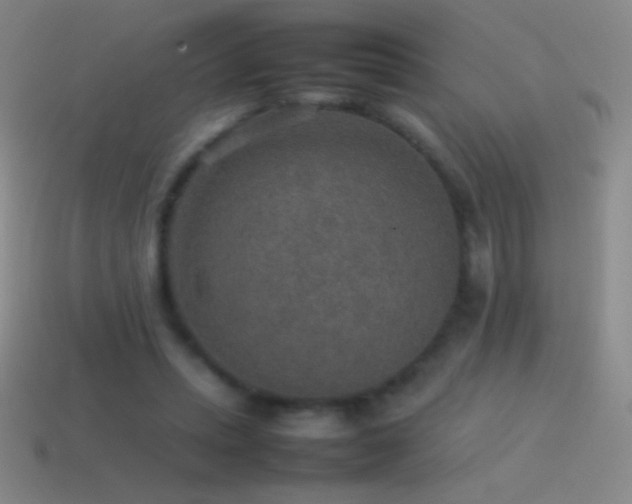 X0000115580447200911101151