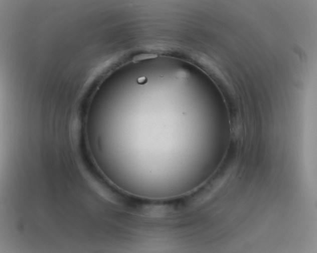 X0000115580448200911101151