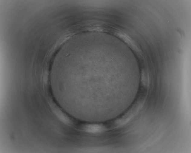 X0000115580449200911101151