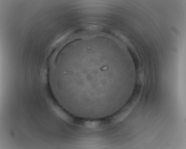 X0000115580450200911101151