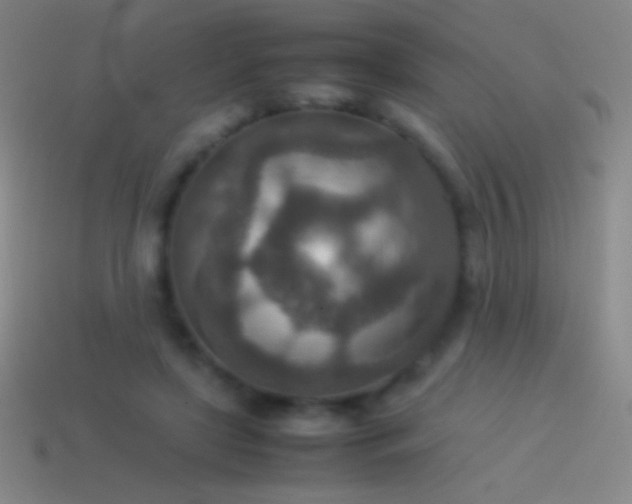 X0000115580451200911101151