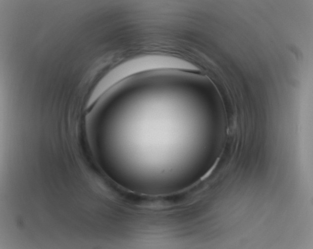 X0000115580452200911101151