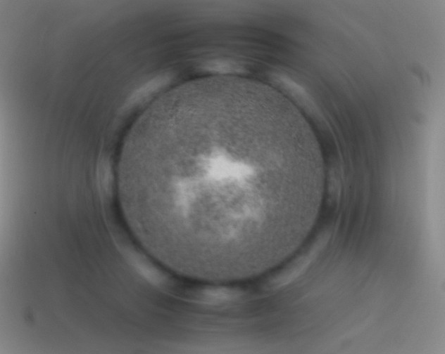 X0000115580453200911101151