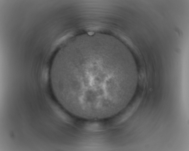 X0000115580454200911101151