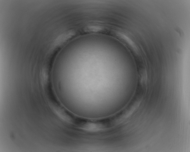 X0000115580455200911101151