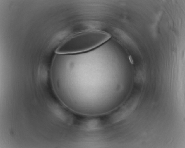 X0000115580456200911101151