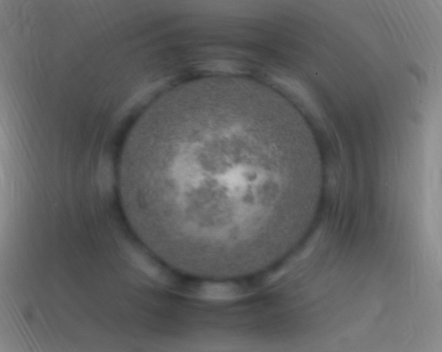 X0000115580457200911101151