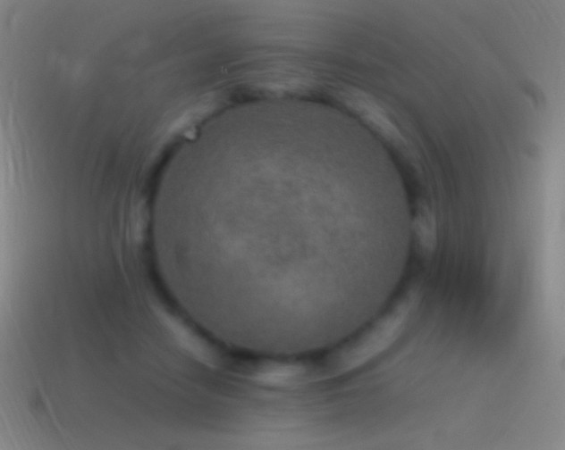 X0000115580458200911101151