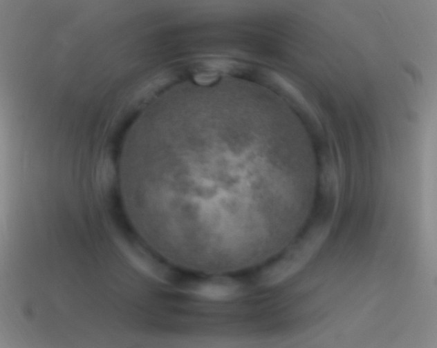 X0000115580459200911101151