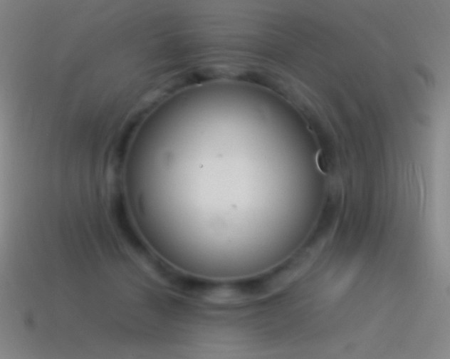 X0000115580460200911101151