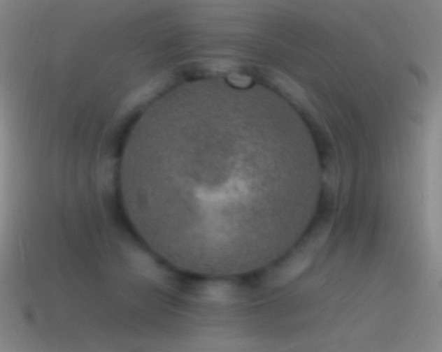 X0000115580462200911101151