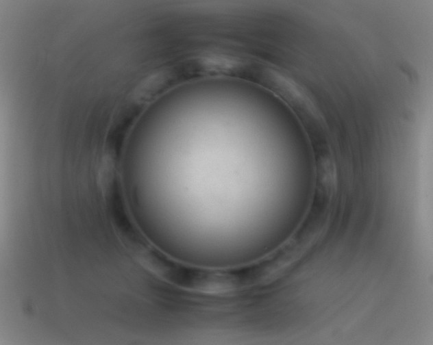 X0000115580463200911101151