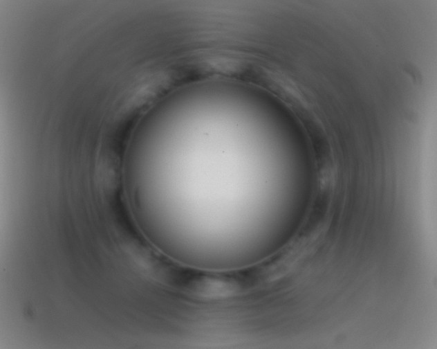 X0000115580464200911101152