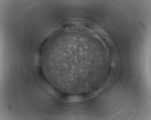 X0000115580465200911101152