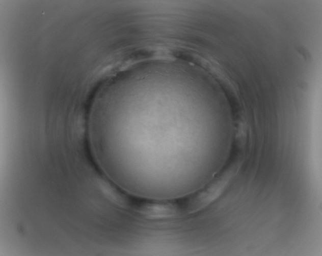 X0000115580466200911101152