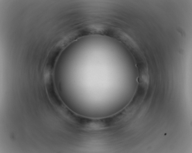 X0000115580468200911101152