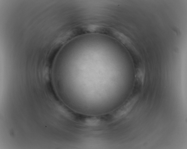 X0000115580470200911101152