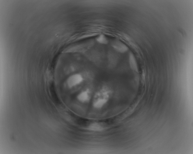 X0000115580471200911101152