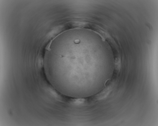 X0000115580474200911101152