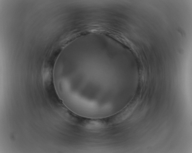 X0000115580475200911101152