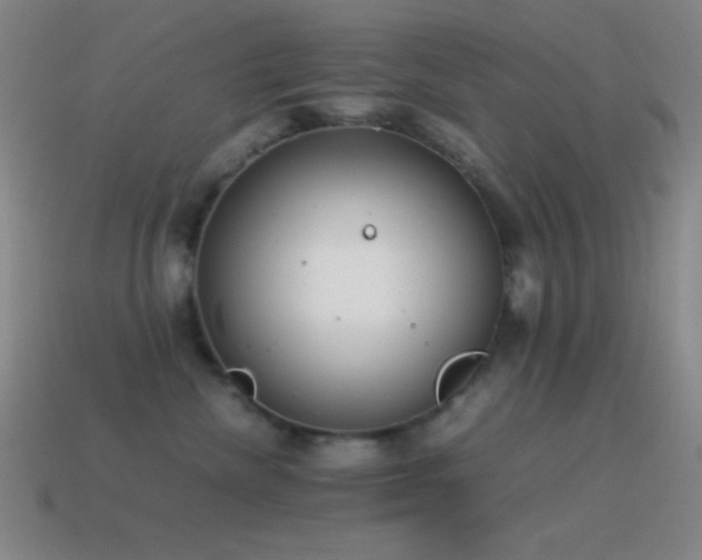 X0000115580476200911101152