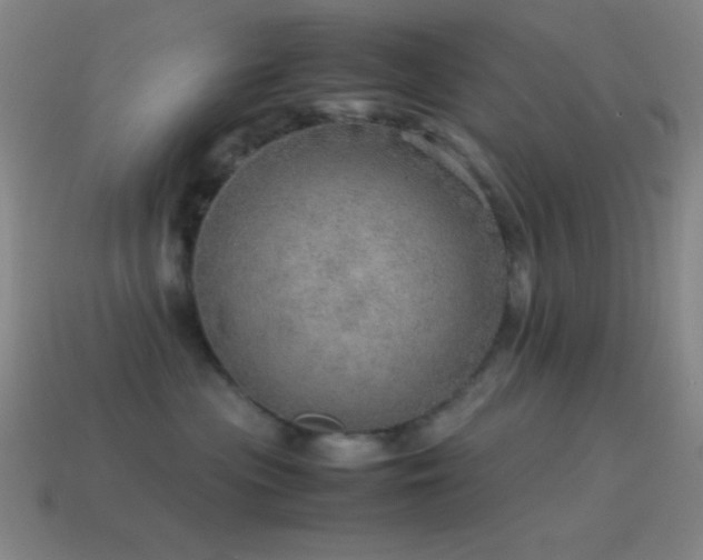 X0000115580477200911101152