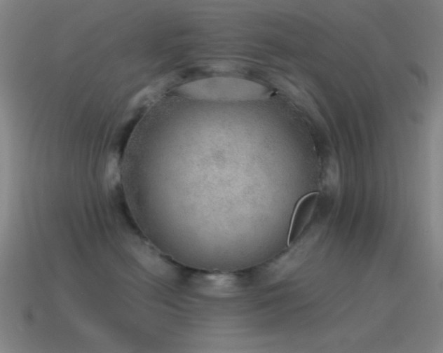 X0000115580478200911101152