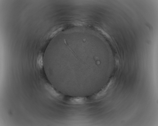 X0000115580479200911101152