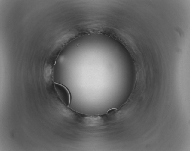 X0000115580480200911101152