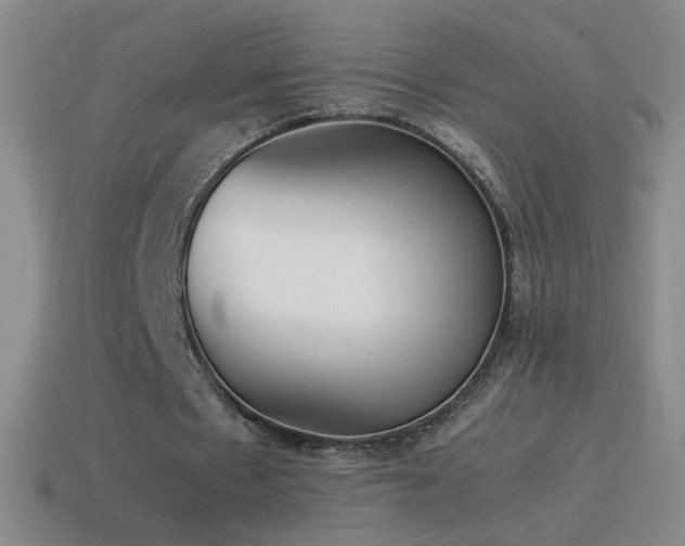 X0000115580481200911101151