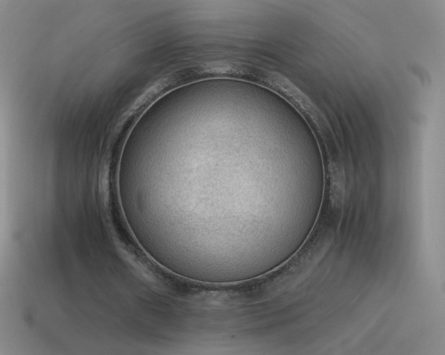 X0000115580482200911101151