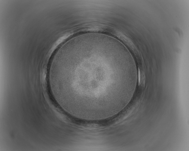 X0000115580483200911101151