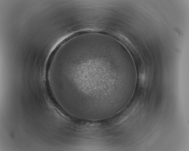 X0000115580484200911101151