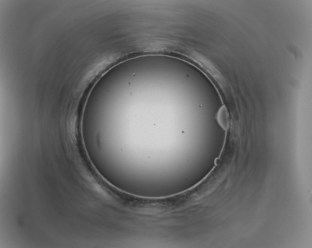 X0000115580485200911101151