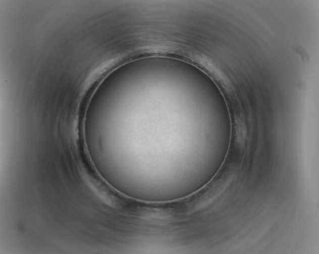 X0000115580486200911101151