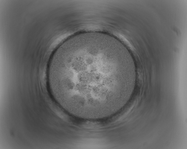 X0000115580487200911101151