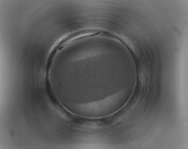 X0000115580488200911101151