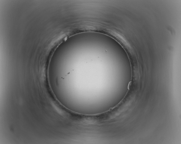 X0000115580489200911101151