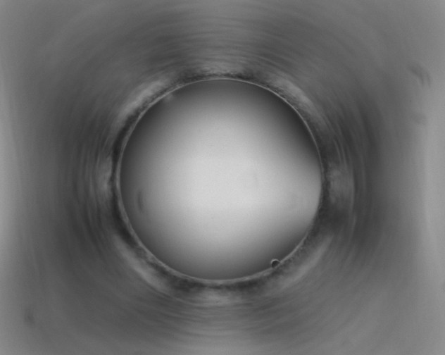 X0000115580490200911101151