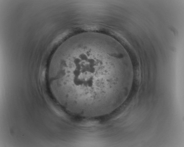 X0000115580491200911101151